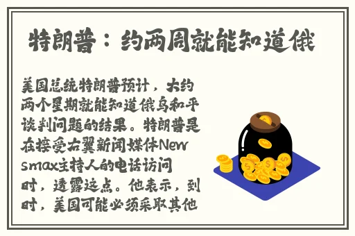 91精品国产91玖久久久福利